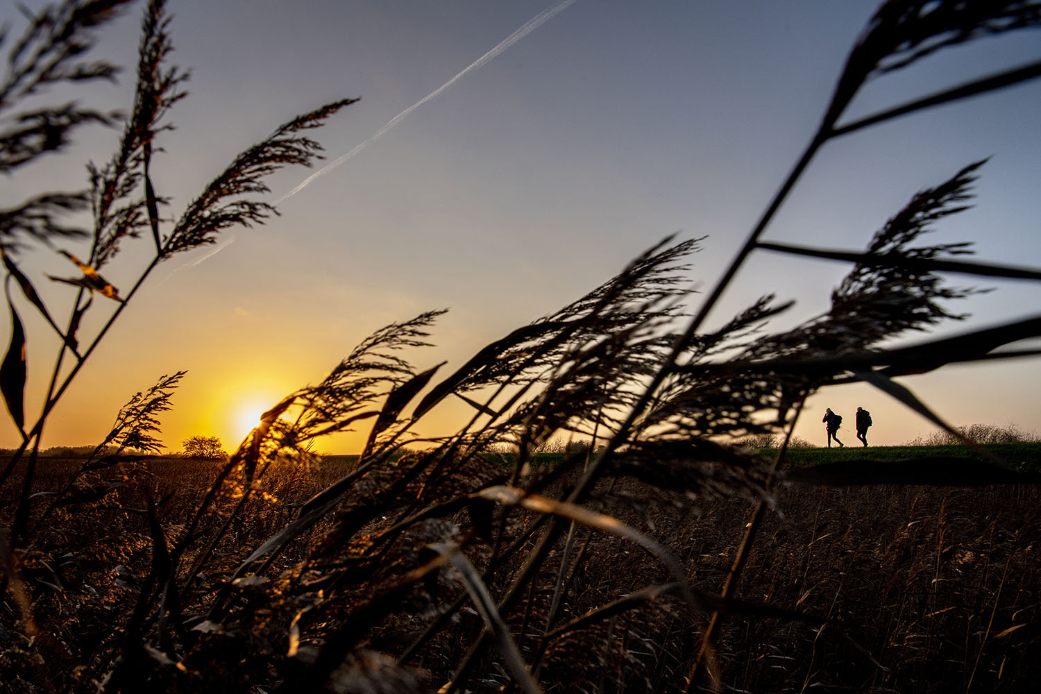 Solnedgang over Tøndermarsken