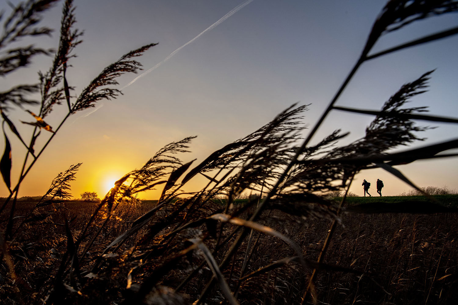 Solnedgang over Tøndermarsken