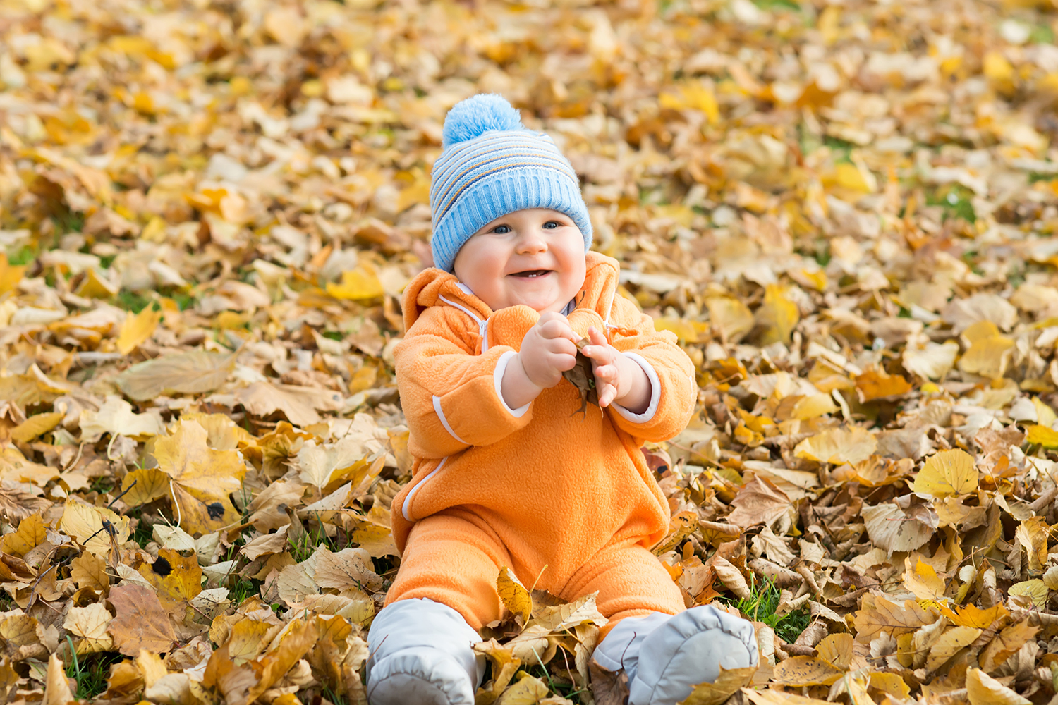 Lille glad dreng, der sidder og leger med efterårsblade