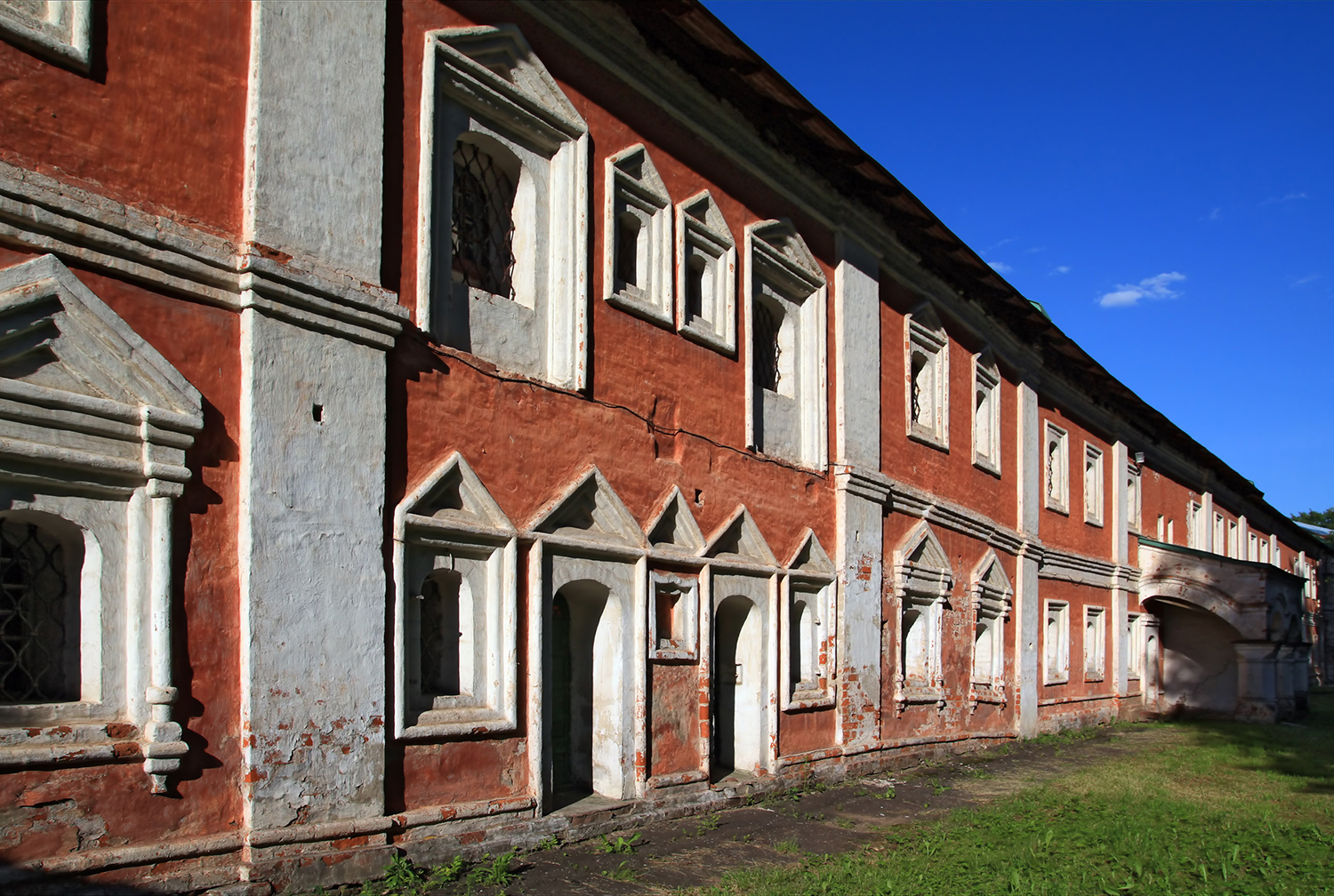 Skimmelsvamp i bolig