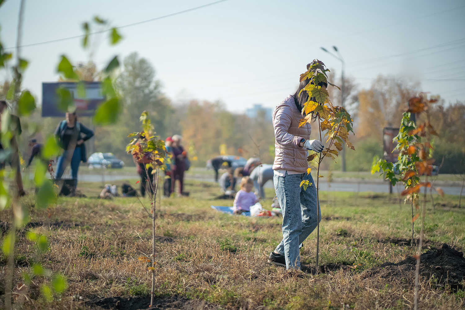 Mennesker der i gang med at plante træer