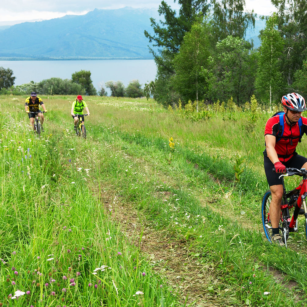 Cyklister på en marksti