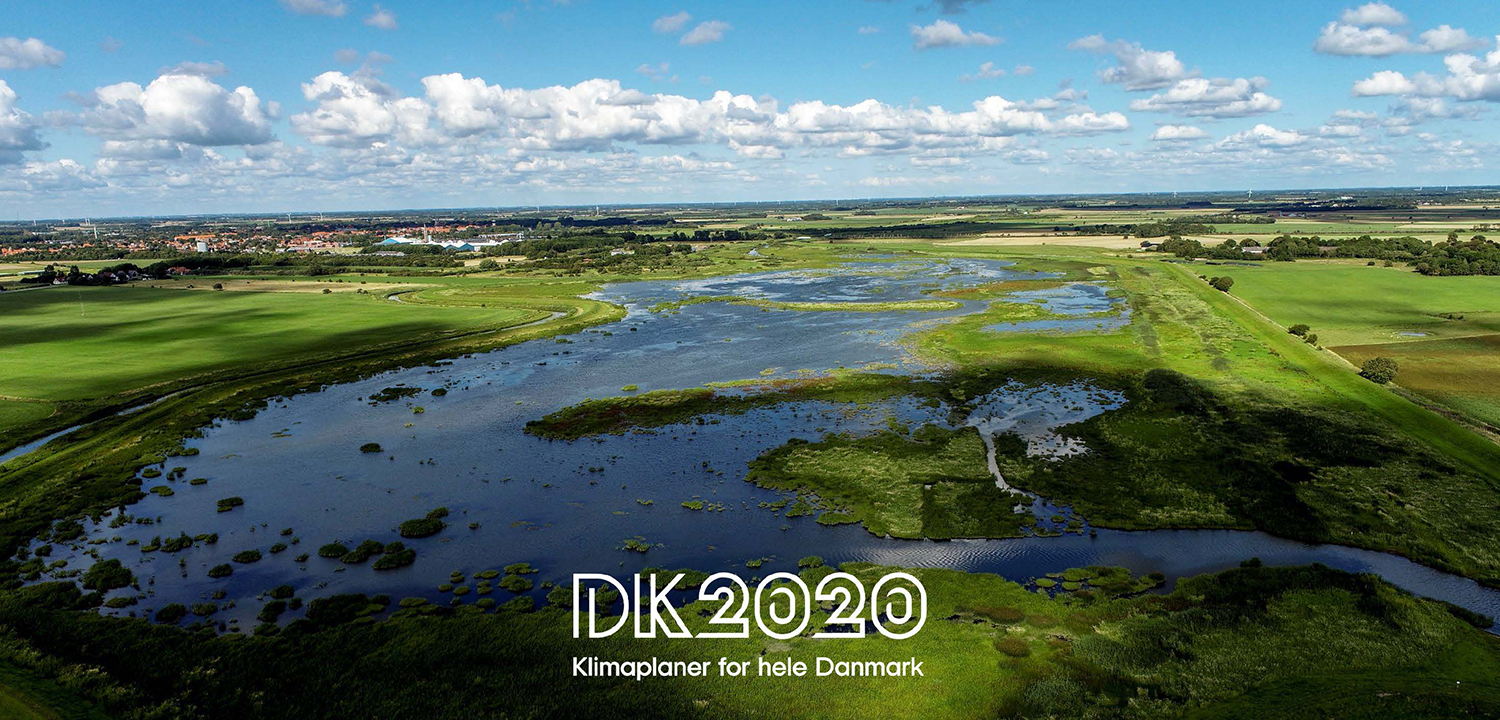 Dronebillede af marsken