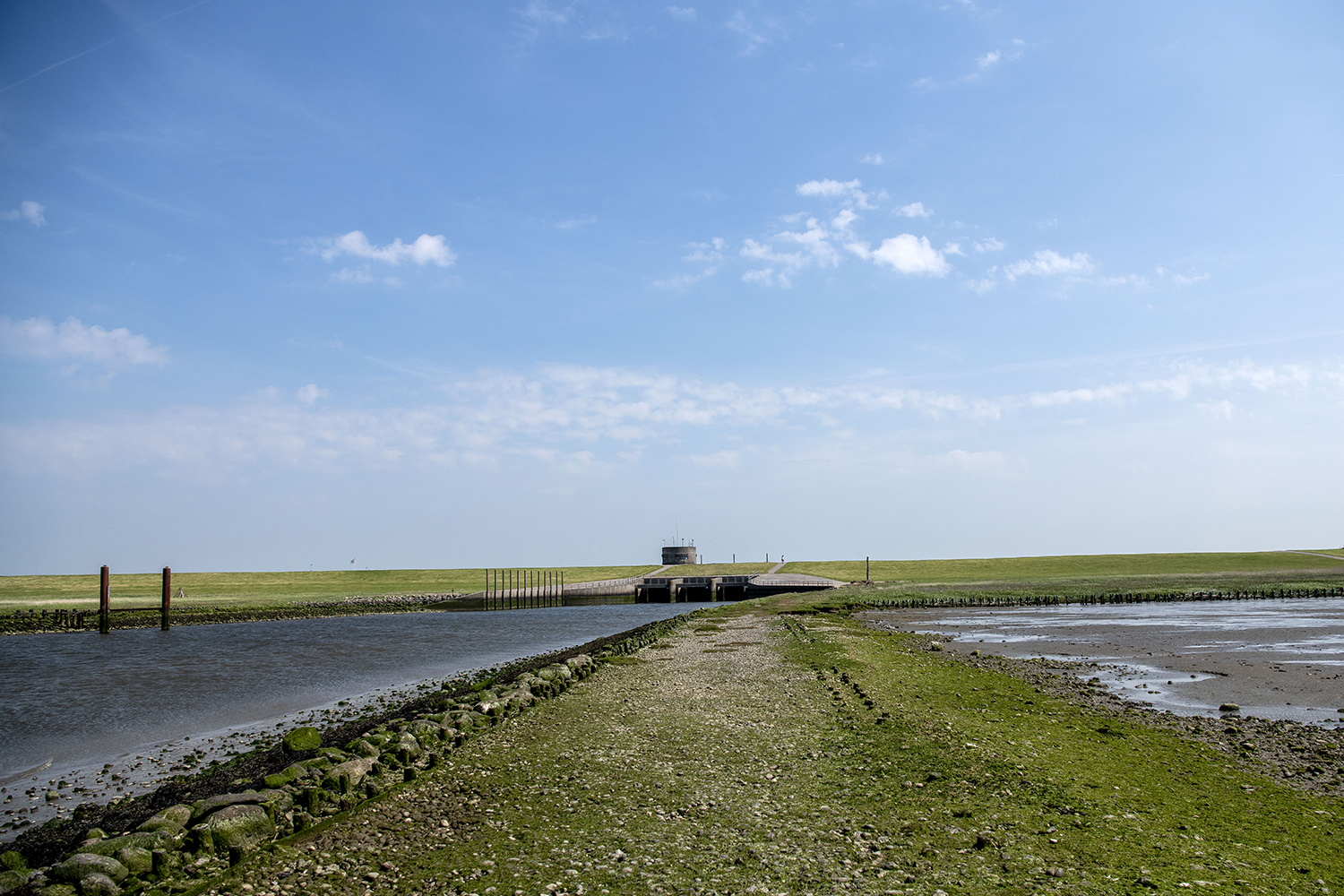 Vidåen ved Højer Sluse